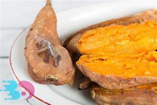 吃土瓜坏处,警惕这些坏处