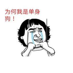 单身狗吃瓜照片,趣味瞬间大盘点