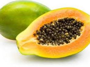 吃瓜吃籽会怎么样,吃瓜吃籽的奇妙体验与潜在影响揭秘