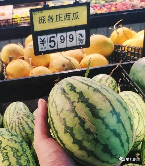 斯京吃瓜,揭秘都市生活背后的八卦风云