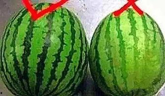 三十还吃瓜,揭秘当代年轻人的娱乐生活新趋势