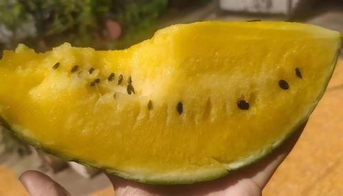 瓜吃瓤,探索瓜果皮的新用途