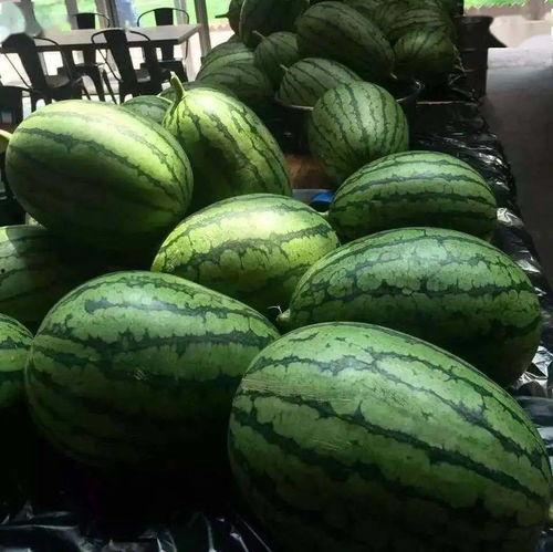 斯京吃瓜,揭秘都市生活背后的八卦风云